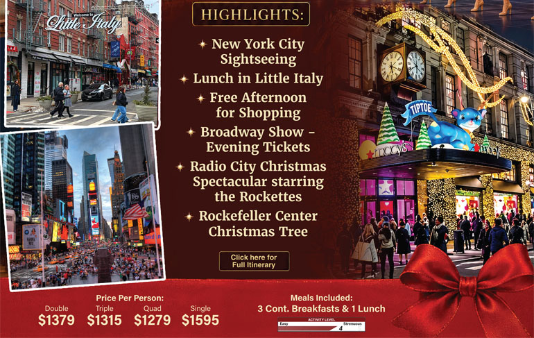 New York Christmas Showtime
