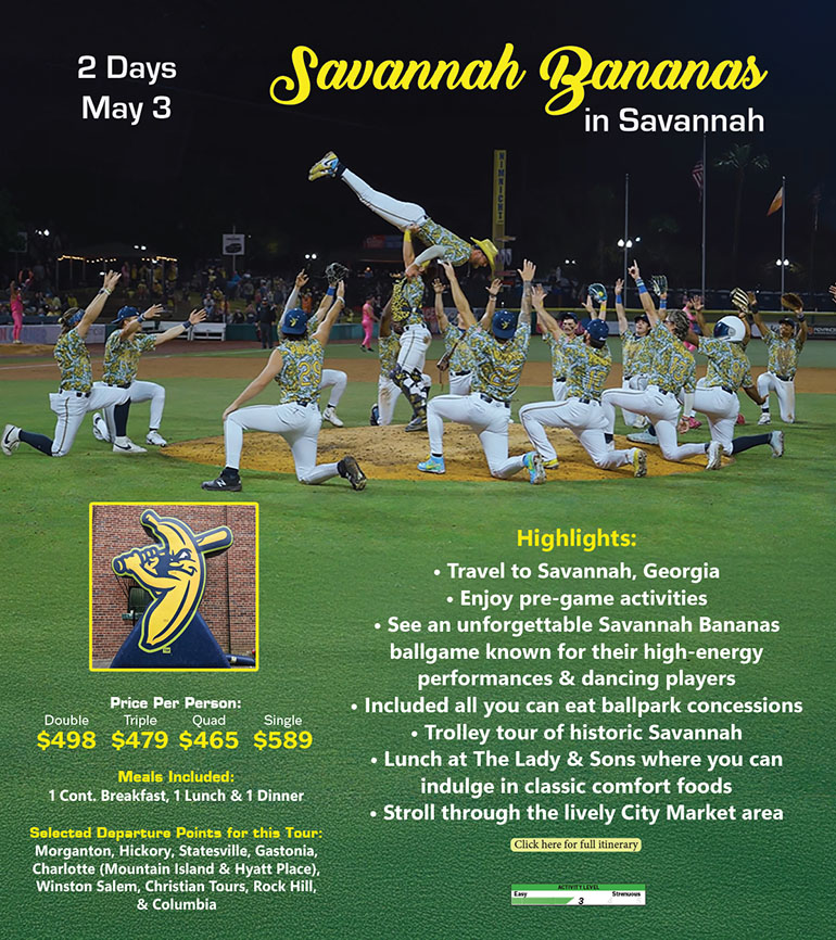 Savannah Bananas in Savannah