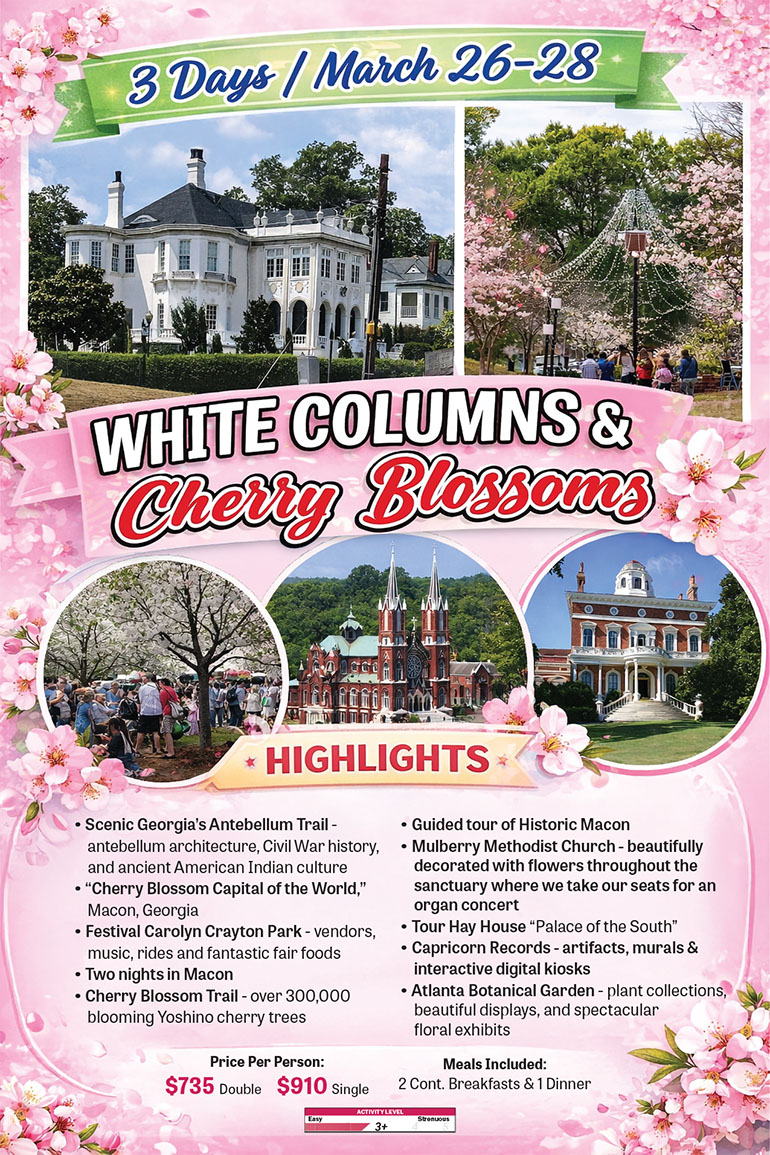 White Columns & Cherry Blossoms