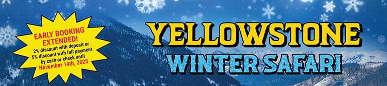 Yellowstone Winter Safari