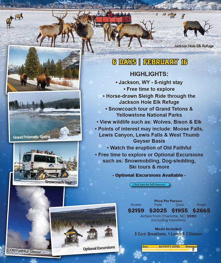 Yellowstone Winter Safari