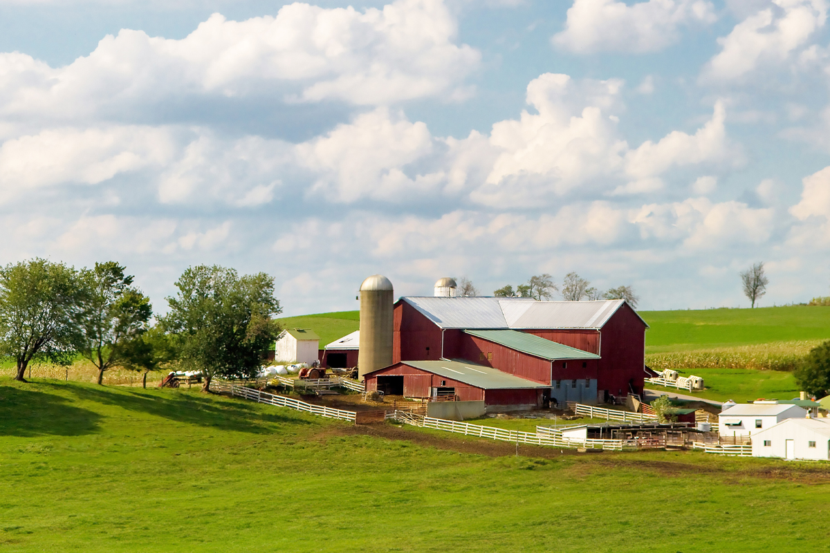 Amish Farm
