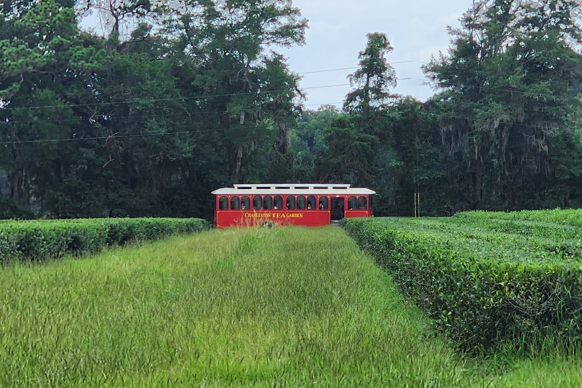 Charleston Tea Garden Trolley