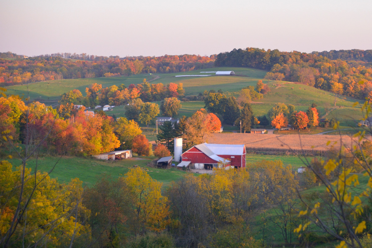 New England Fall Foliage tour image