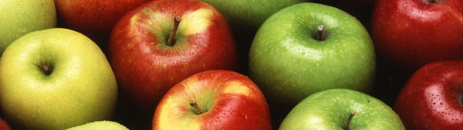 Brushy Mountain Apple Festival