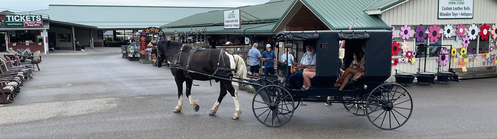 The Creation, The Ark and The Amish