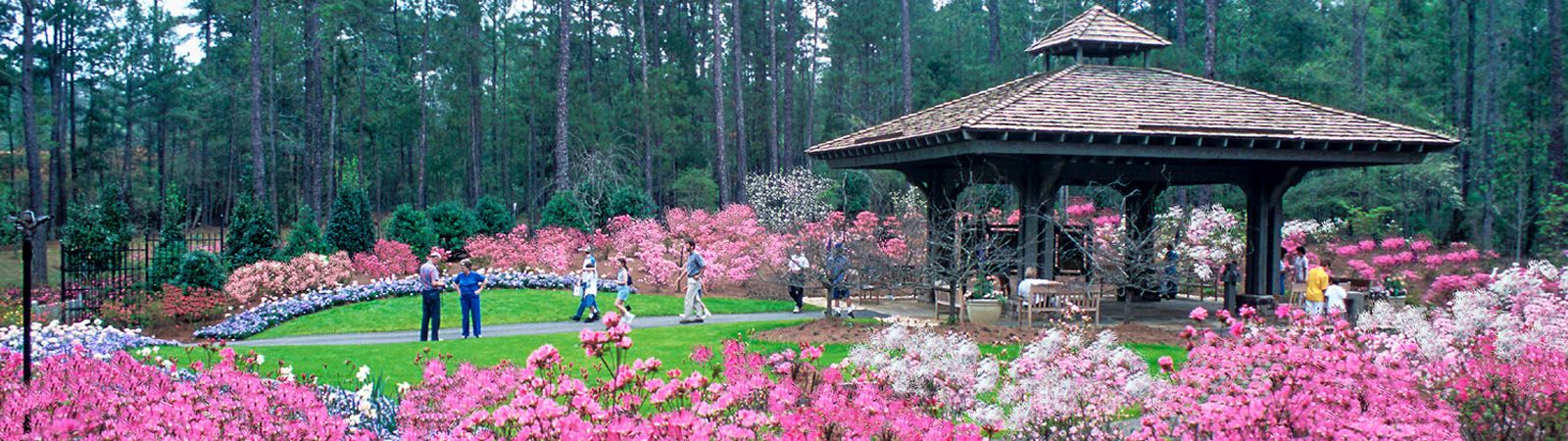 Callaway Gardens and Georgia Splendor