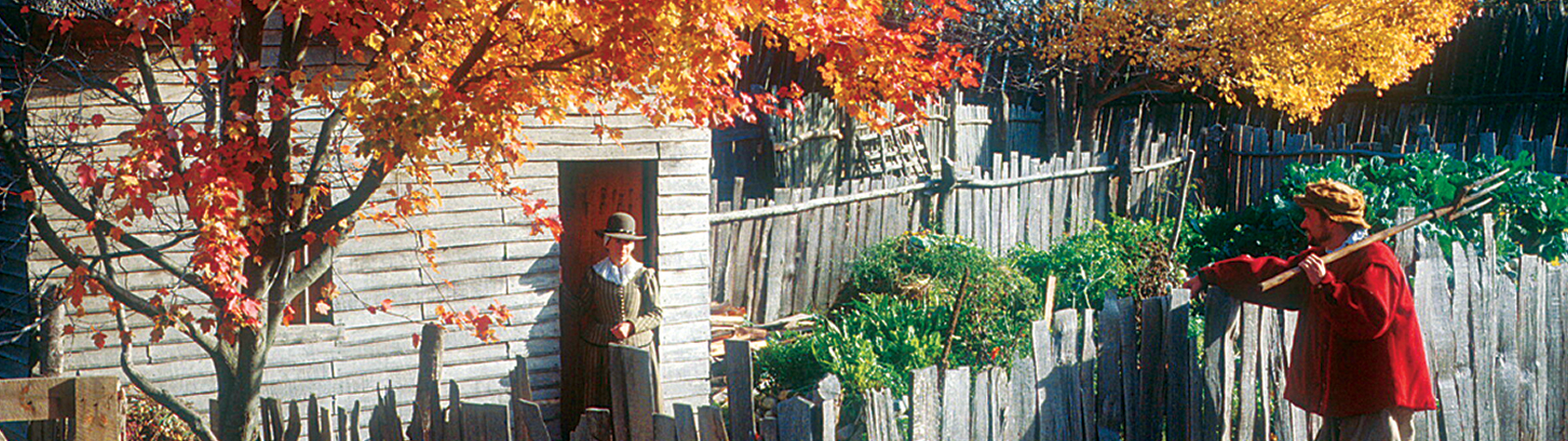 New England Fall Foliage tour image