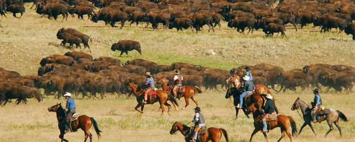 Buffalo Roundup and Frontier Trails