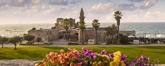 holy land tours june 2023