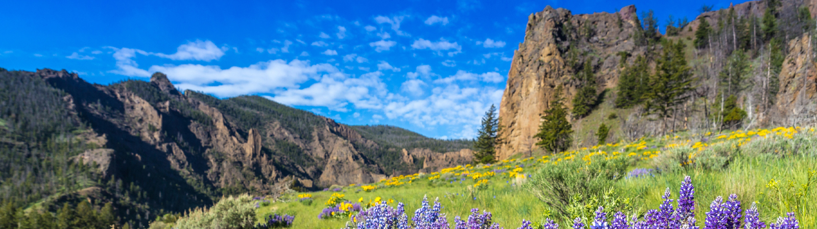 Yellowstone National Park