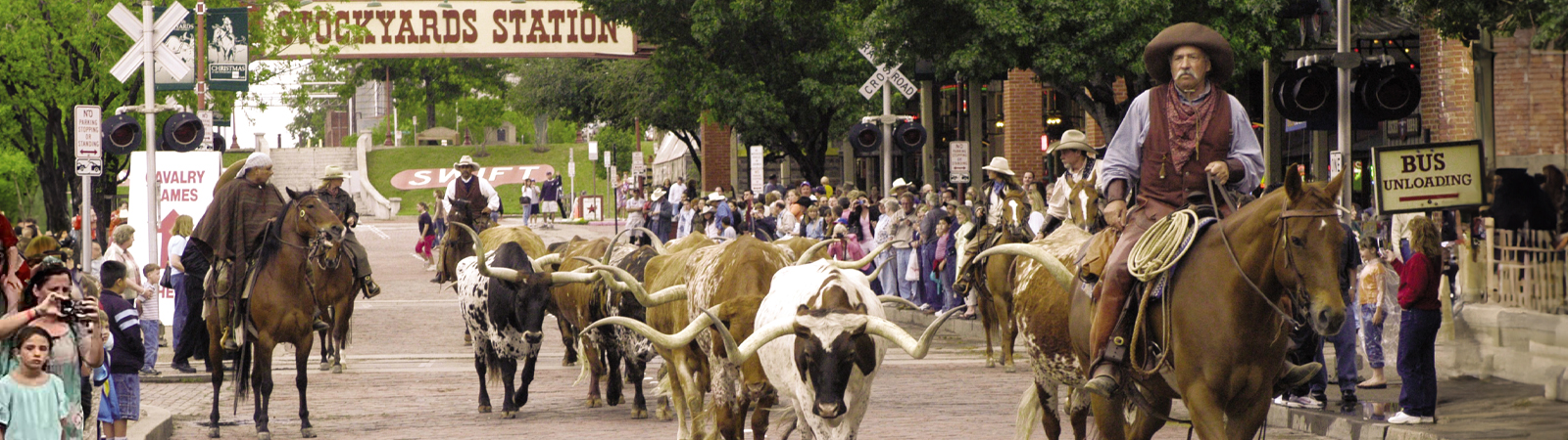Best of Texas