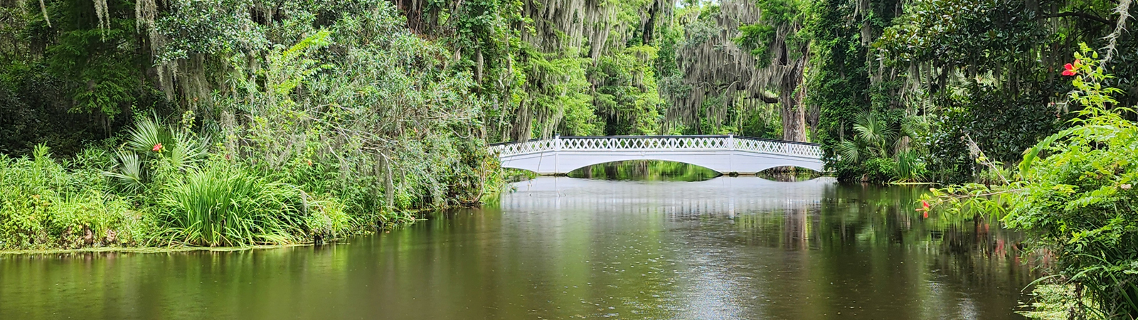Magnolia Plantation & Gardens