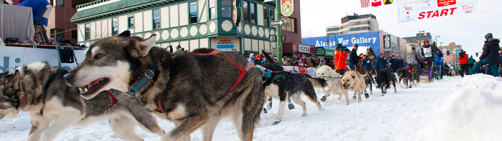 Alaska’s Iditarod Trail Sled Dog Race