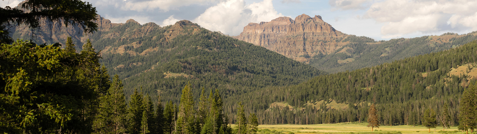 Yellowstone National Park
