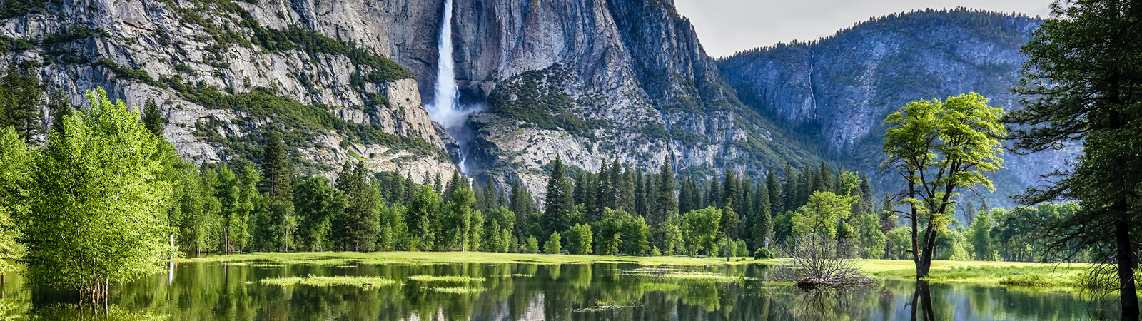 Yosemite National Park