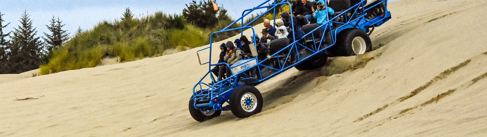 Dune Buggy Ride