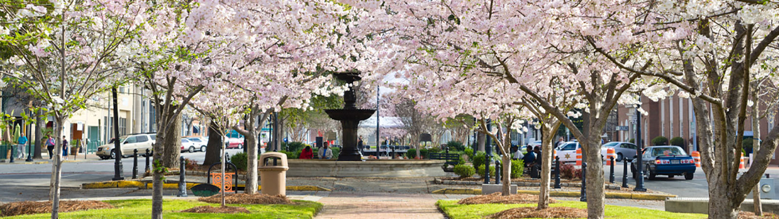 Cherry Blossom Festival