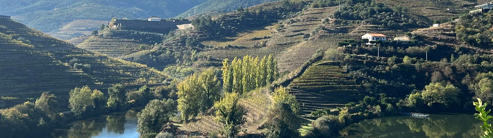 Pocinho, Portugal along the Douro River