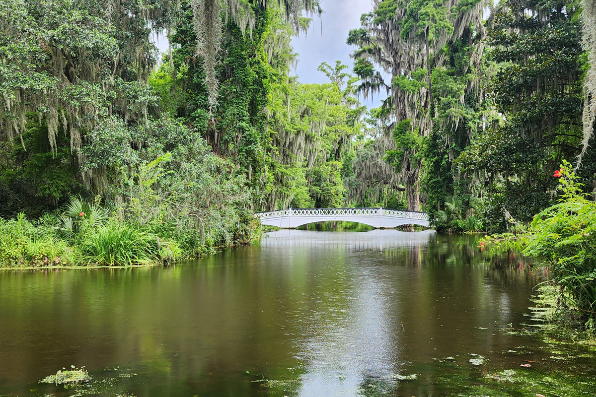 Magnolia Plantation & Gardens