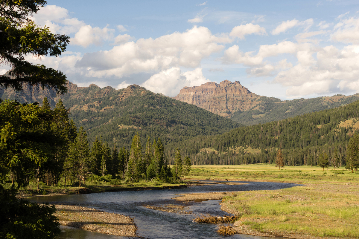 Yellowstone National Park