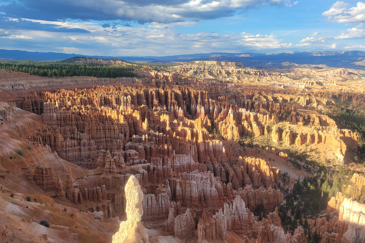 Bryce National Park
