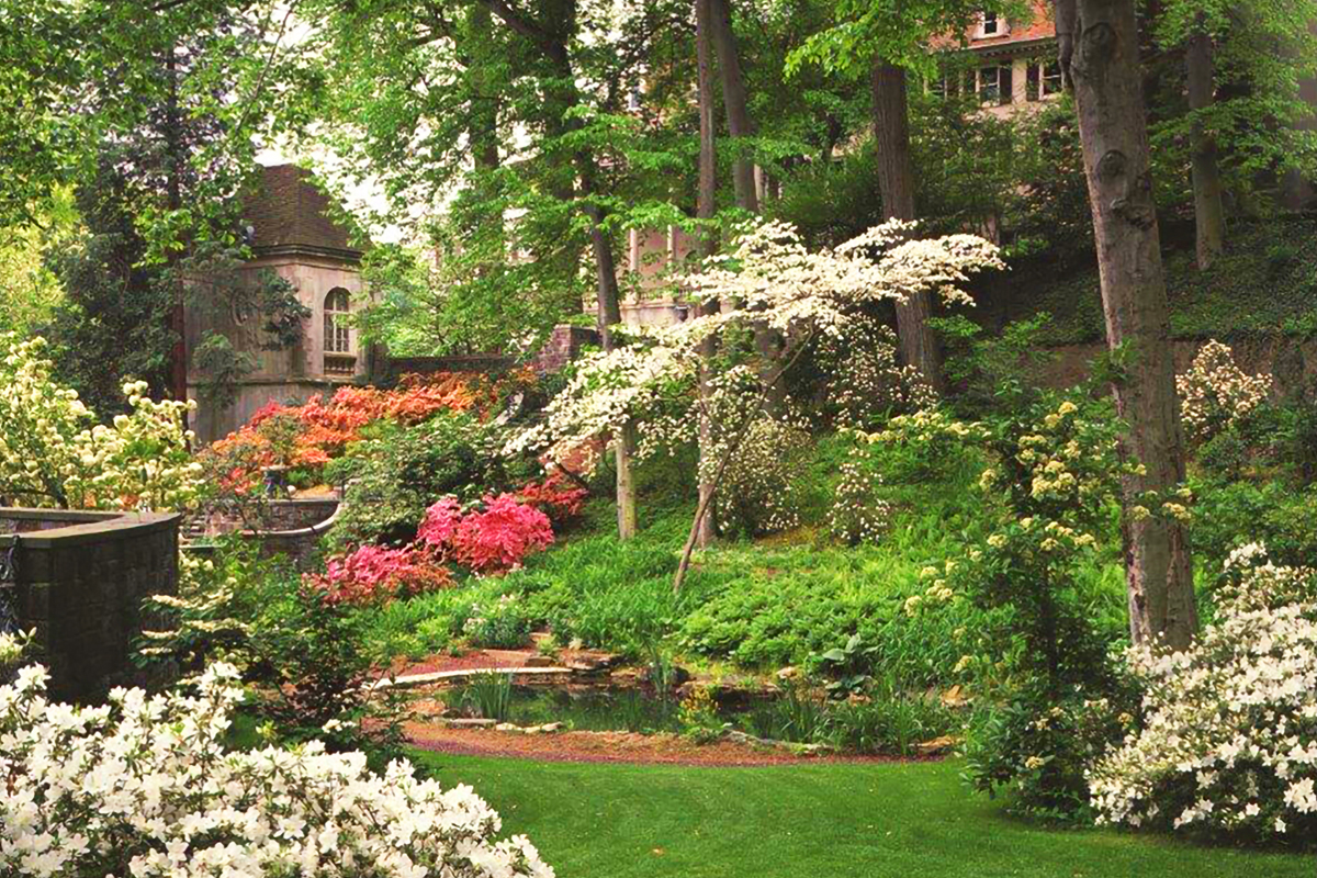 Winterthur - Glade Garden