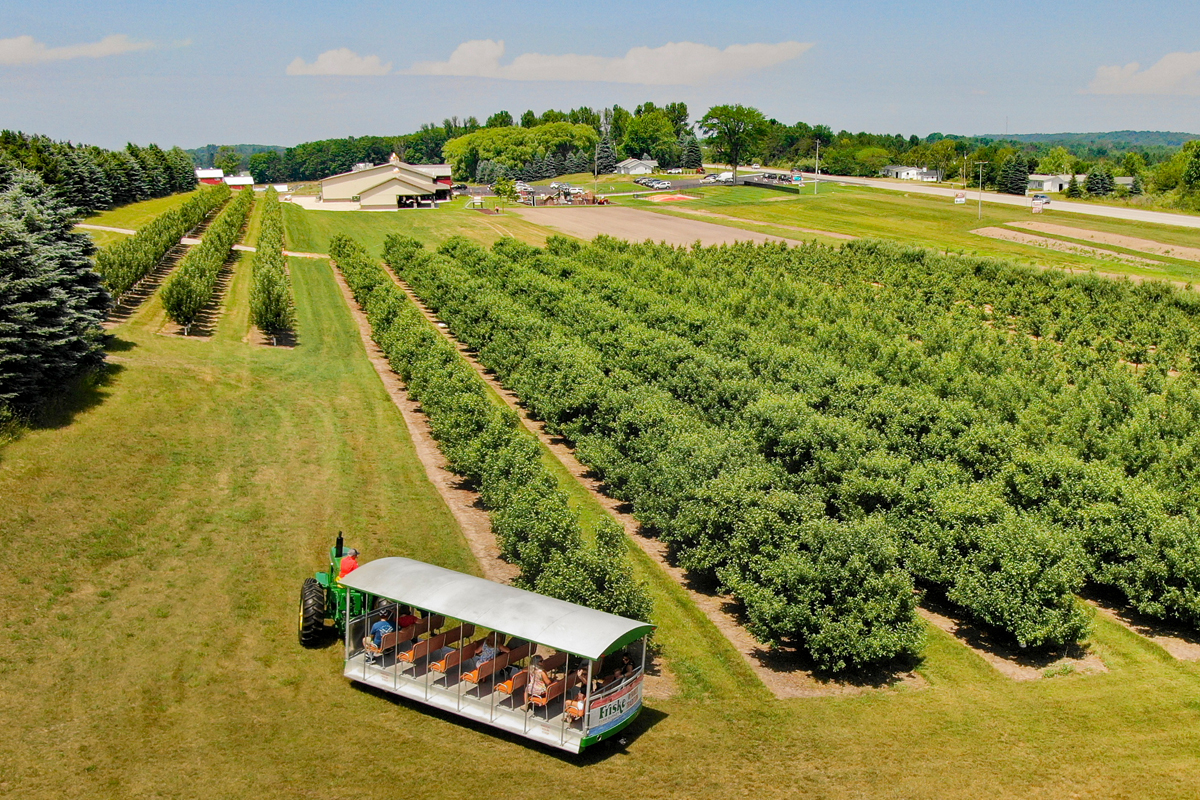 Fiske Farm - Cherry Trees