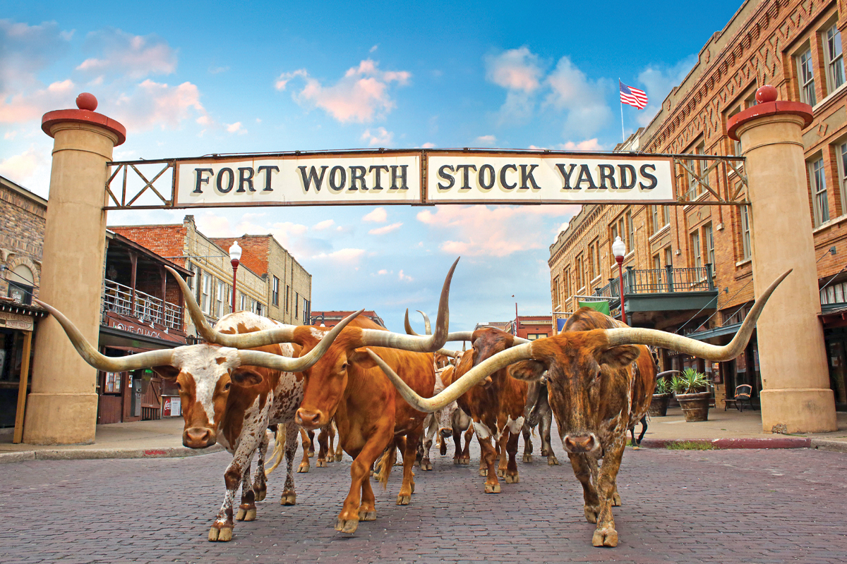 Texas Winter Escape tour image