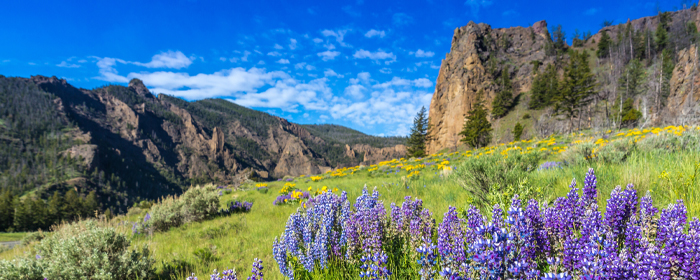 Yellowstone, Dakotas and Badlands