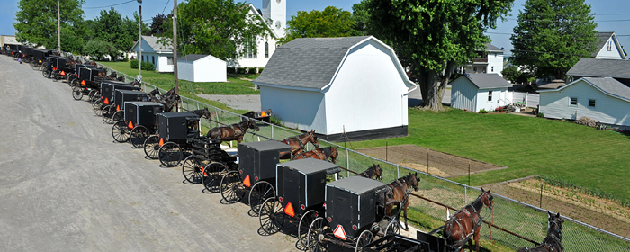 The Creation, The Ark and The Amish