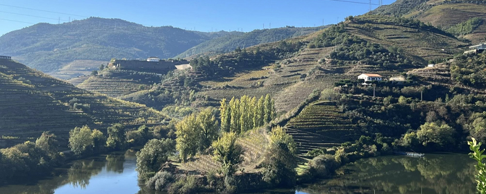 Douro River Cruise: Portugal and Spain